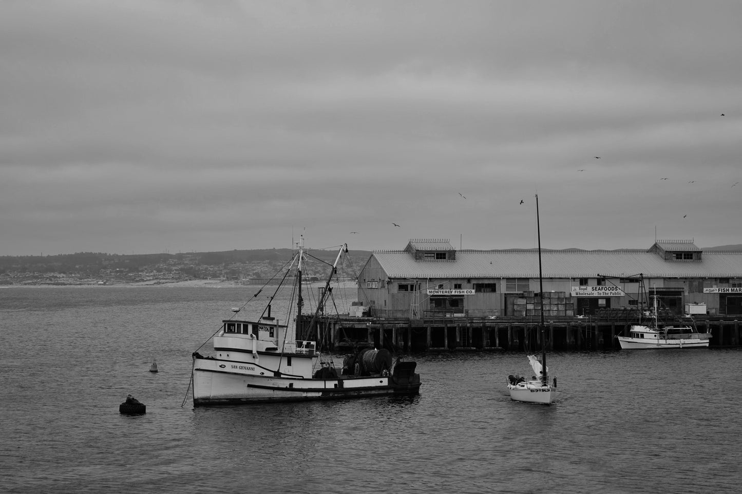 Monterey Fish Co.